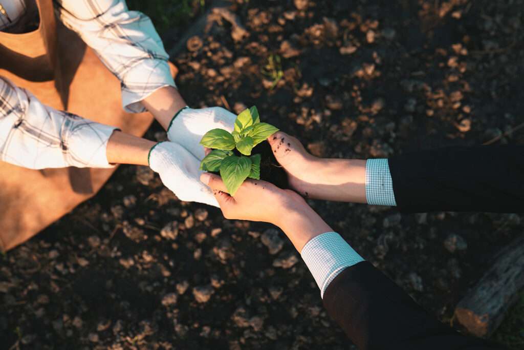 Agriculture Storytelling